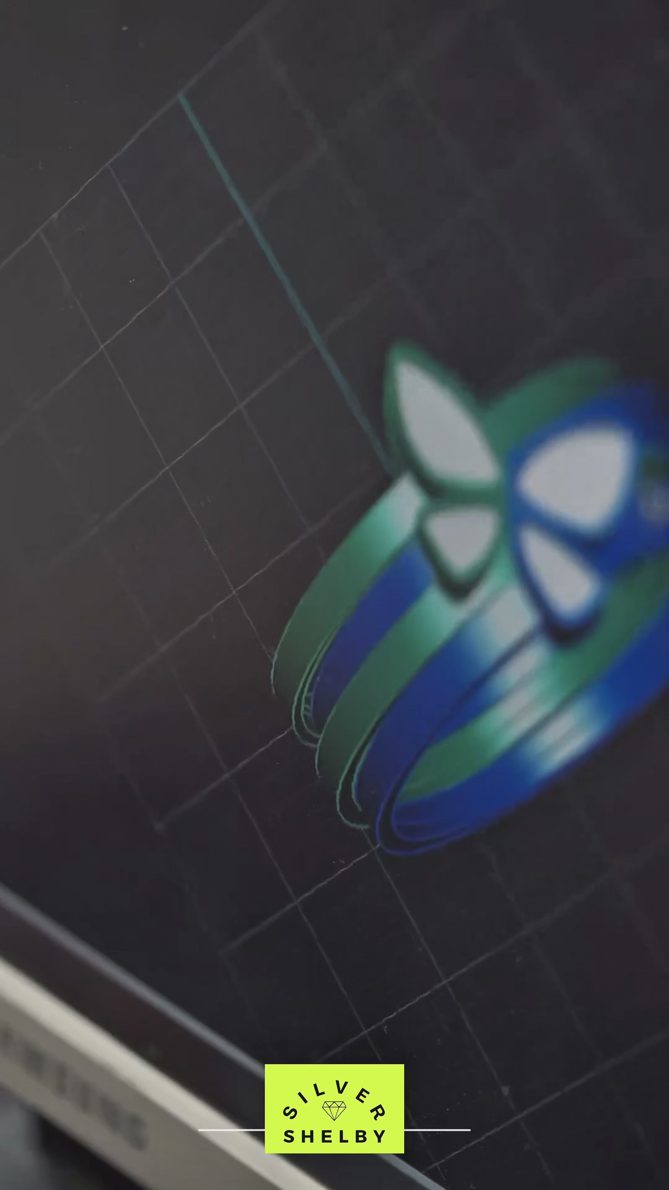 Carica il video: 